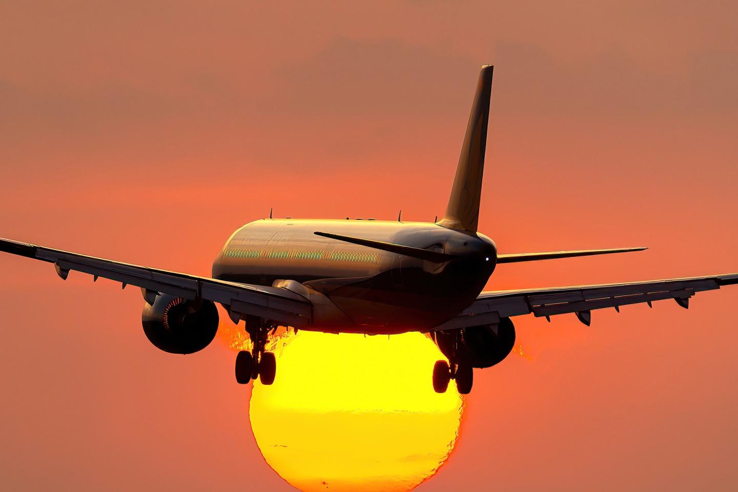 Image for main section of page